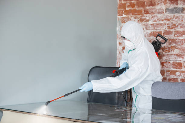 Trusted Lakeland Village, CA Mold Inspection Experts