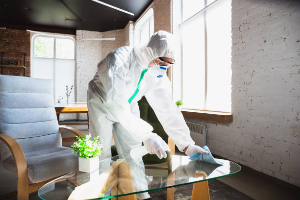 Why You Should Choose Our Mold Remediation Services in Lakeland Village, CA